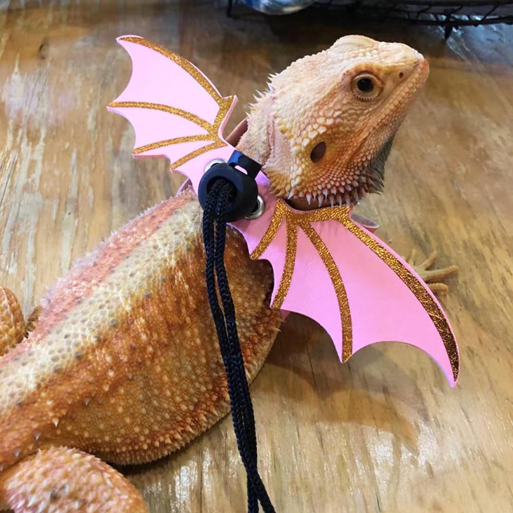 Coguzed Bearded Dragon Leash And Harness Set, Adjustable Lizard Harness With Wings, Cool Leather Reptile Leash For Bearded Drago